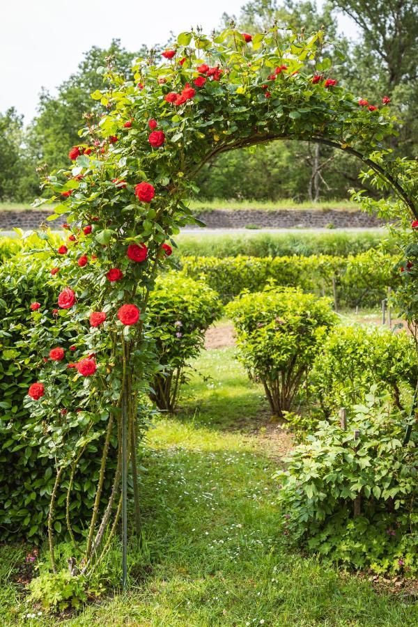 Clos Fleuri : Amboise Home With Amazing Gardens エクステリア 写真